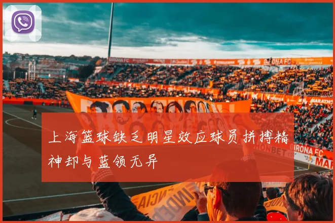 上海篮球缺乏明星效应球员拼搏精神却与蓝领无异