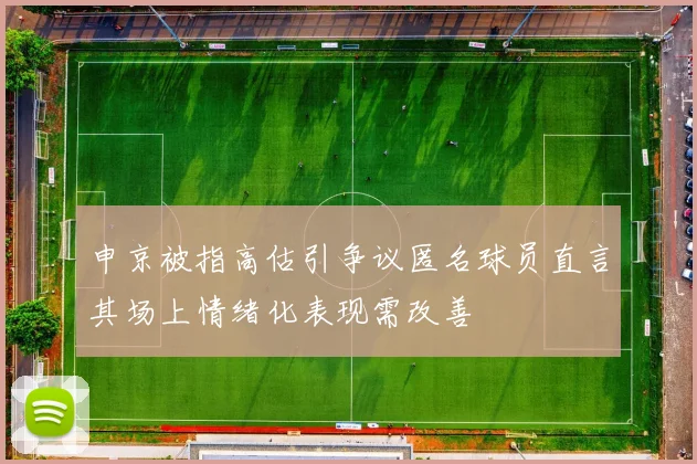 申京被指高估引争议匿名球员直言其场上情绪化表现需改善